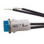 Selecta Switch SL53215-6-BG Indicator Light; Flush/Transparent Lens, 125 Volt AC, Neon, Red
